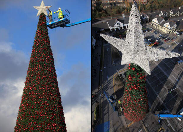 Christmas trees and lights 6 Ёлки и праздничные огни по всему миру