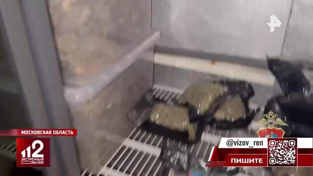 Подмосковный садовод превратил дачу в наркоплантацию и склад оружия