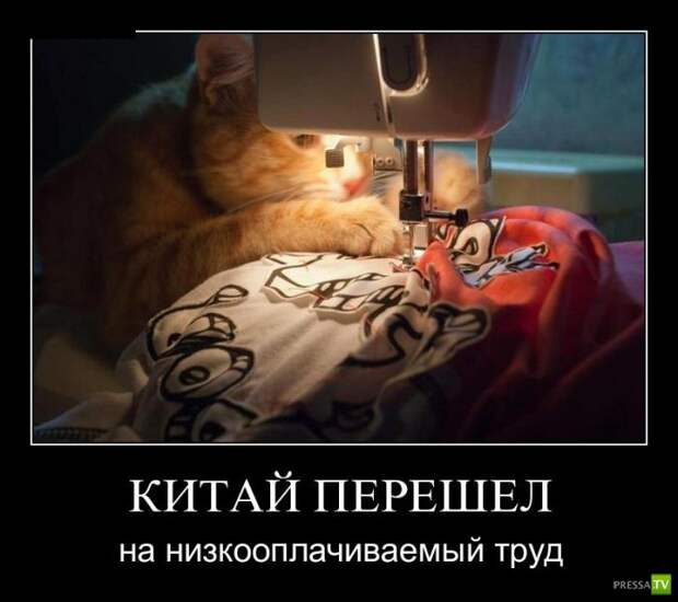 Демотиваторы на июль, часть 7 (29 фото) Демотиваторы на июль, часть 7 (29 фото)