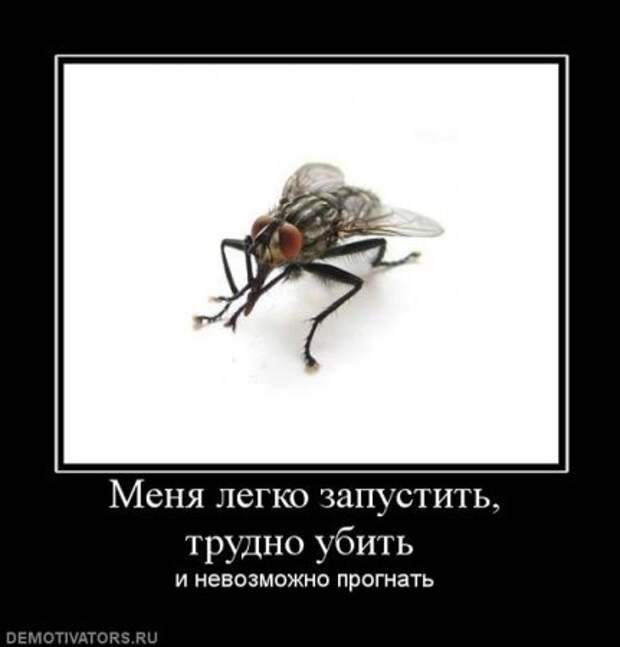 Демотиваторы смешные прямо тут и сейчас!