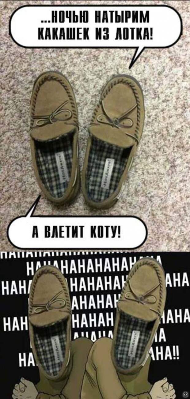 Весёлости из мира 6