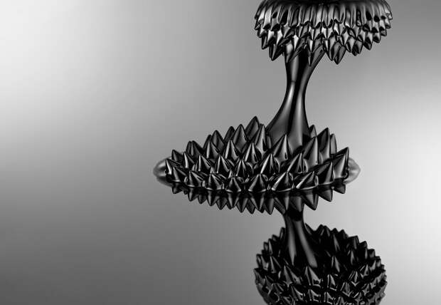 Победители научного конкурса Royal Society Publishing Photography Competition