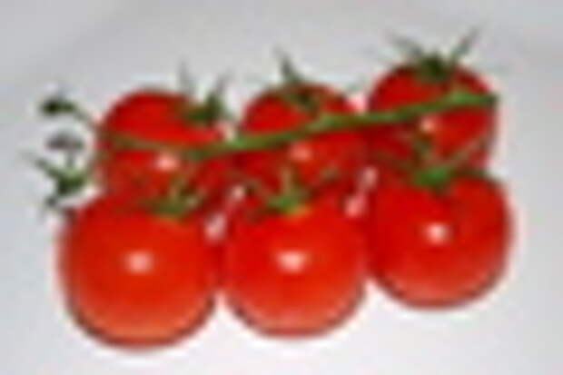 small tomatoes-1