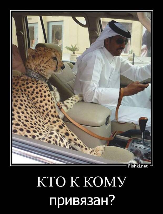 Демотиваторы демотиваторы, прикол, смех, юмор