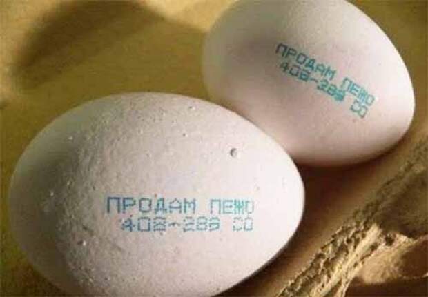 реклама на яйцах
