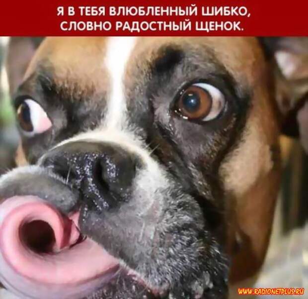Неужели ПЯТНИЦА?!!
