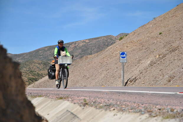 День 176: Направляемся в Боливию  велосипед, мир, путешествие, собака