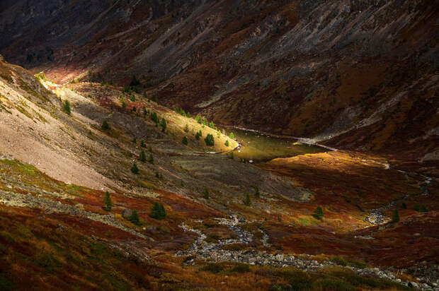 Осень на Алтае — это волшебные переливы желто-оранжевых оттенков, контрастирующие с сизой дымкой на горных вершинах, это плеск горных источников и напоминающий сахарную пудру первый снег...