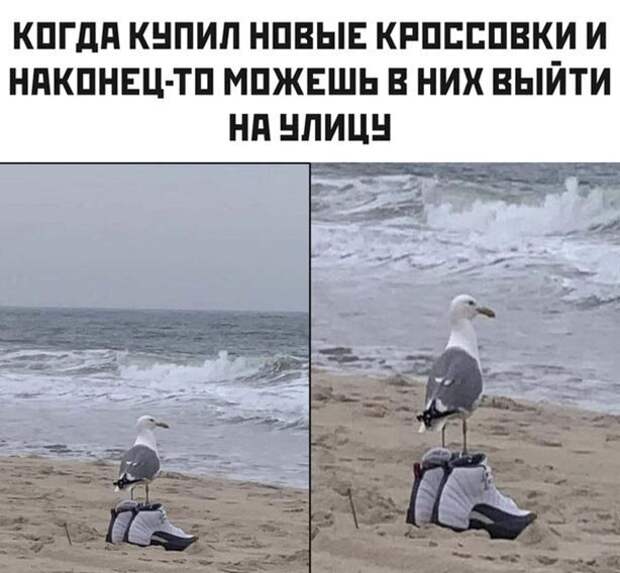 Обновка Обновка