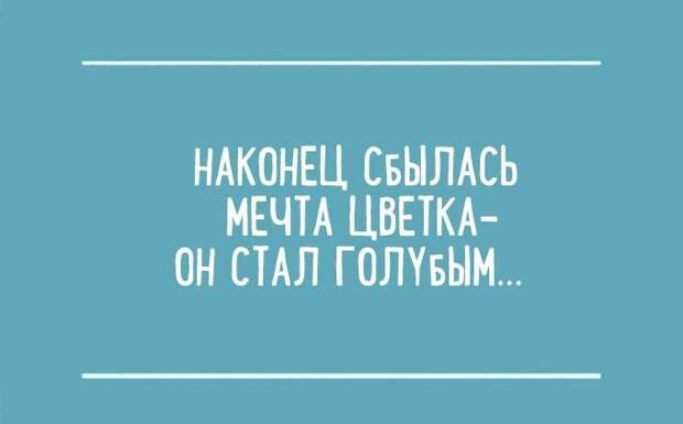 Перлы из школьных сочинений (15 картинок)