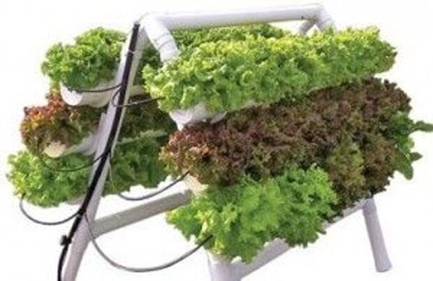 Hydroponics for you!!!!