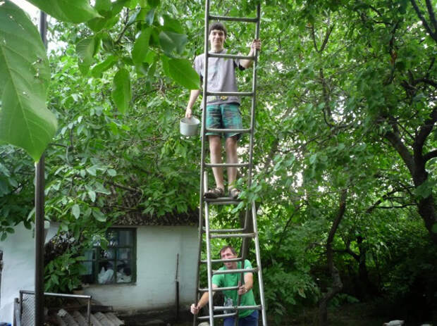 почему мужчины живут меньше женщин 