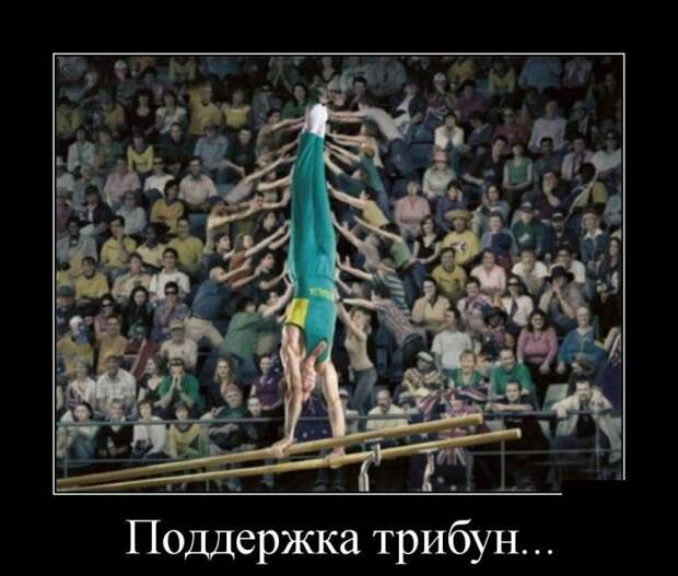 Демотиваторы бревно, демотиваторы, юмор