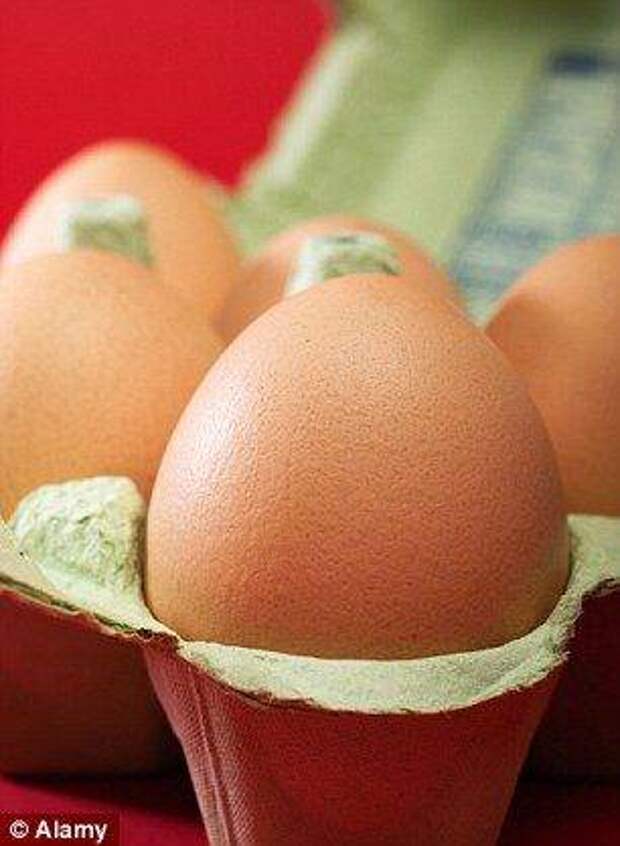 b2ap3_thumbnail_1769e80b62.jpg b2ap3_thumbnail_1769e80b62.jpg