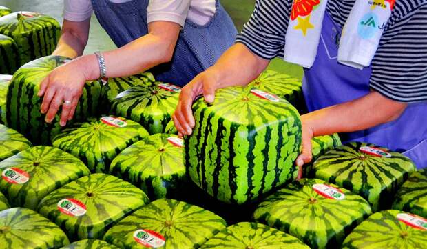 cubic watermelons