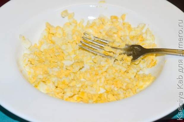 закуска закуска