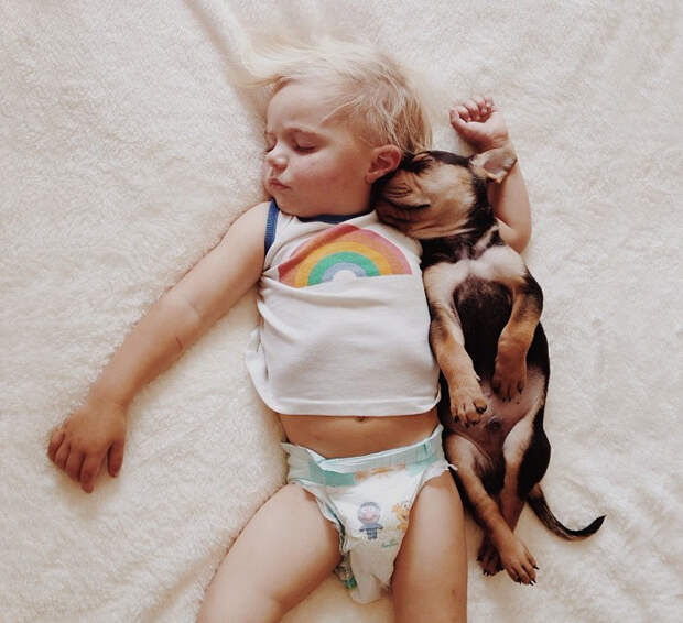 собака и ребенок