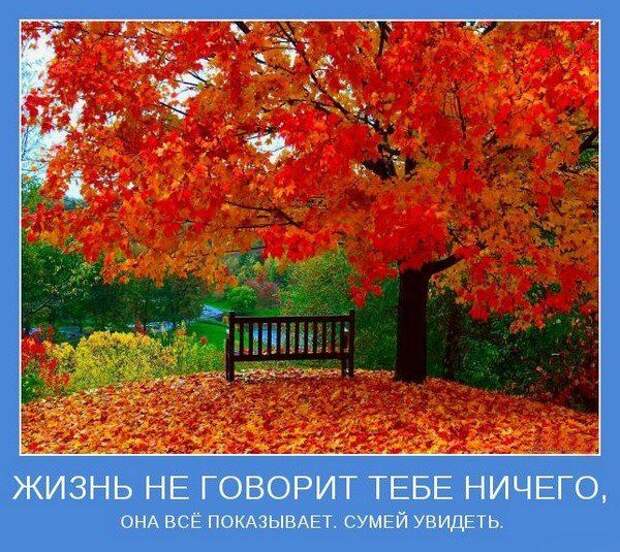 Мотиваторы VII Мотиваторы