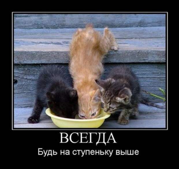 Демки, будет смешно!