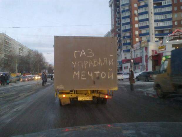 Прикольные картинки