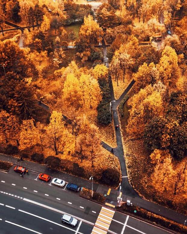 осень в разных уголках мира, Кристина Макеева