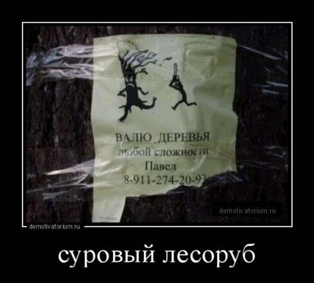 Свежие демотиваторы (11 шт)