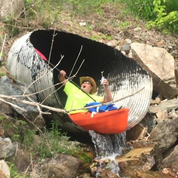 Прикольные картинки (97 фото)
