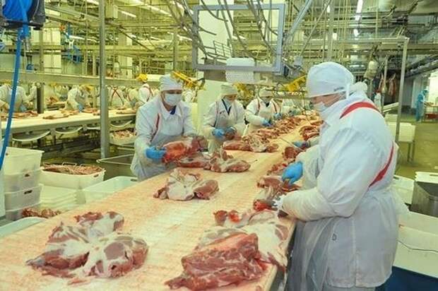 В Иране похвалили российское мясо В Иране похвалили российское мясо