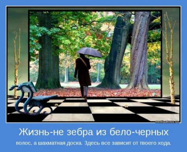 Серьезные цитаты, заключили в синие рамки и дополнили красивыми картинками, читайте это интересно.