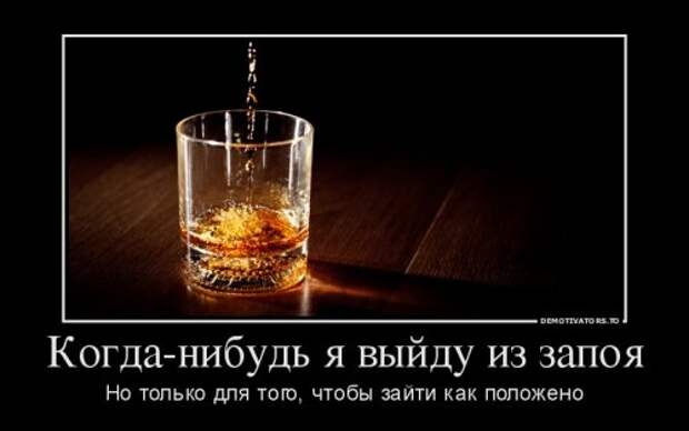 Новые демотиваторы (20 шт)