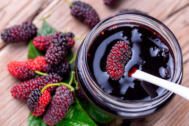 Frontiers: соединения из шелковицы могут снижать риск атеросклероза