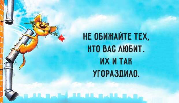 Совет дня советы, юмор