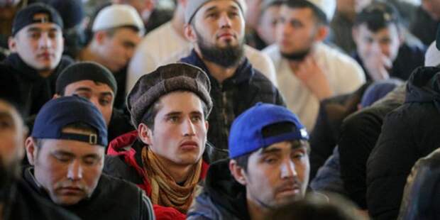 Подтверждают даже либералы. Массовый завоз мигрантов ведет к деградации