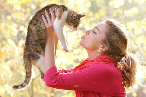 6. Поднятие настроения животные, завести, коты, причины