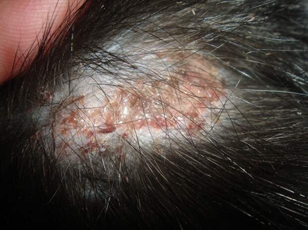 Так это выглядит Так это выглядит