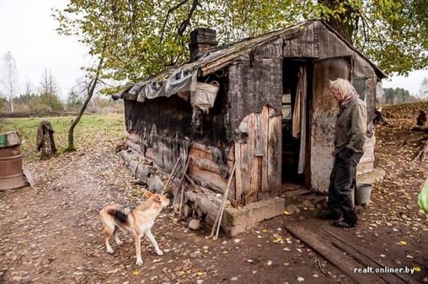 0711 800x532 Белорусские отшельники уже 20 лет живут без света, газа и водопровода, но на своей земле