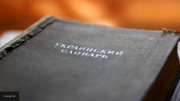 Мураев назвал закон о языке «гвоздем невозврата» Крыма и Донбасса в Украину 