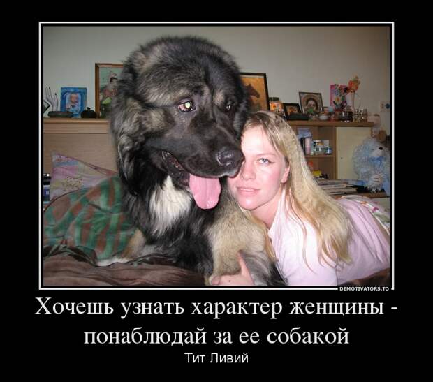 Демотиваторы демотиваторы