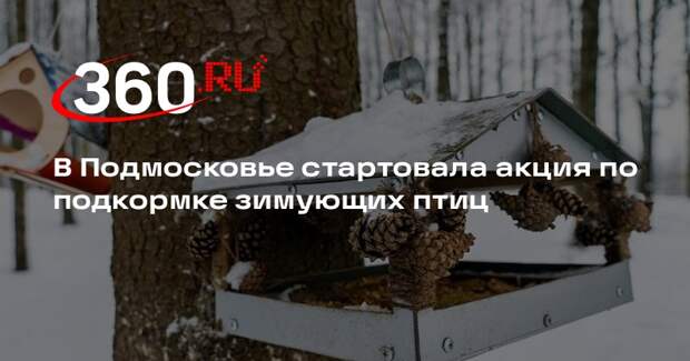 В Подмосковье стартовала акция по подкормке зимующих птиц
