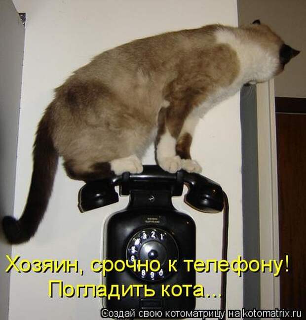 Мысли вслух :)