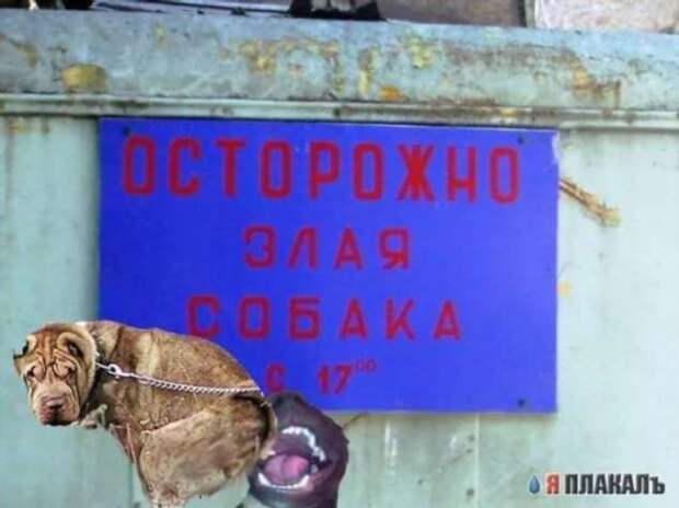 Прикольные вывески. Подборка chert-poberi-vv-chert-poberi-vv-18530230052020-7 картинка chert-poberi-vv-18530230052020-7