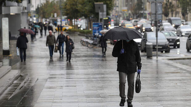 До плюс 11 градусов и дожди ожидаются в Московском регионе в четверг