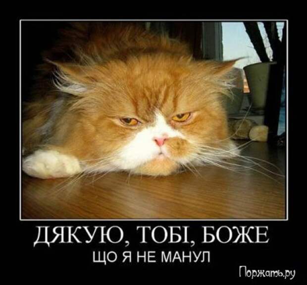 Демтиваторы