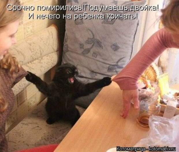 Котоматрицы