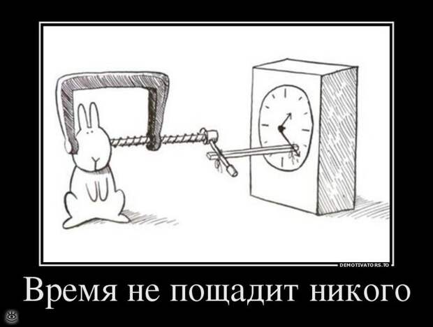 Не сдавайся никогда! 41