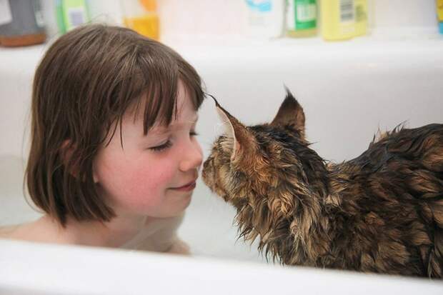 IrisandThula02 Как кошка Тула помогает девочке с аутизмом