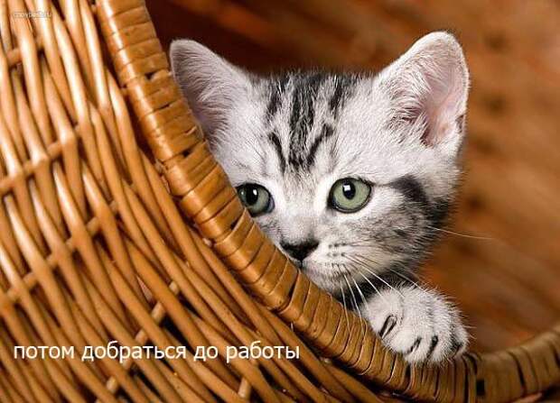Пятница