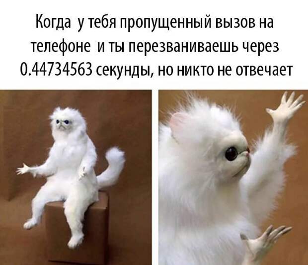 Смешные картинки с надписями прикол, юмор
