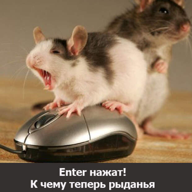 Подборочка прикольных открыток