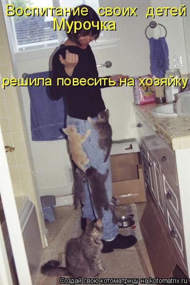Мысли вслух :)